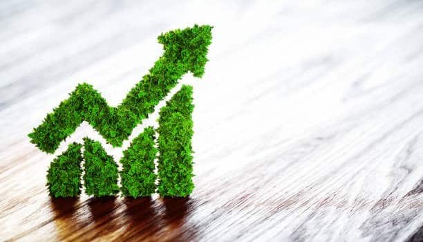 Sustainable finance: How to invest in companies that prioritize environmental responsibility in the US