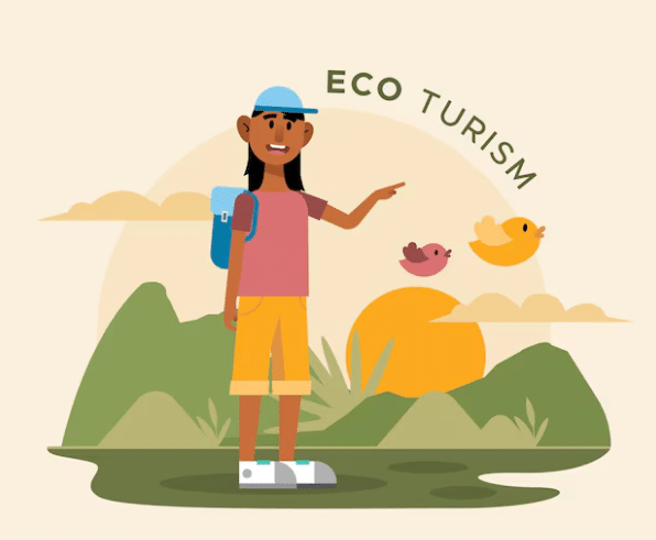 Investing in sustainable tourism in Africa: Economic potential and risks